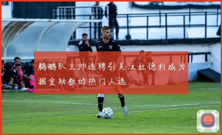 鹈鹕队主帅选聘引关注杜德利成为掘金助教的热门人选