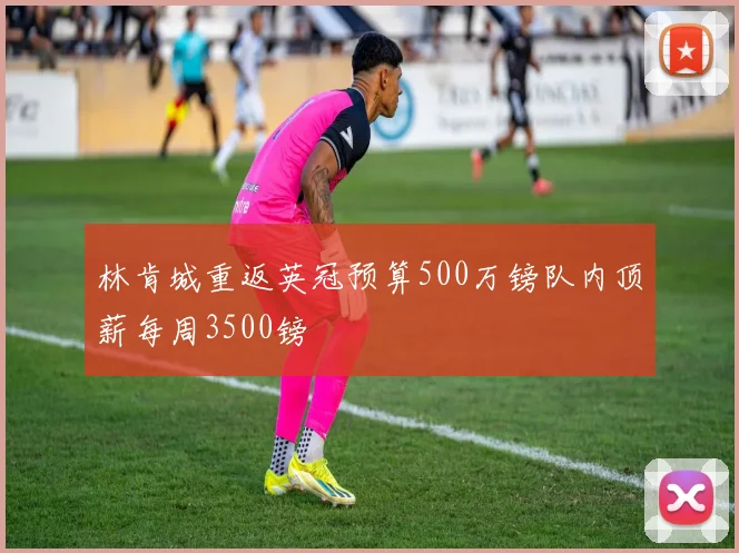 林肯城重返英冠预算500万镑队内顶薪每周3500镑