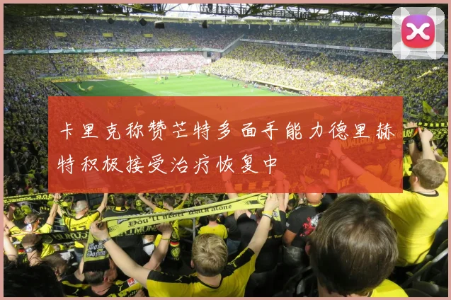 卡里克称赞芒特多面手能力德里赫特积极接受治疗恢复中